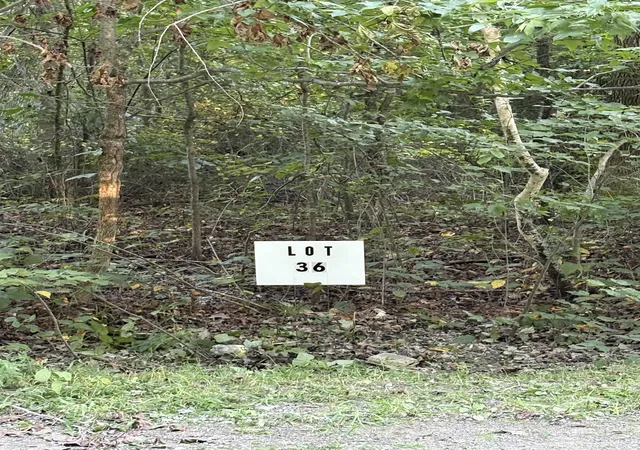 2nd image of 0 Shilow Rd, Beechgrove, TN 37018 | MLS# 3513339