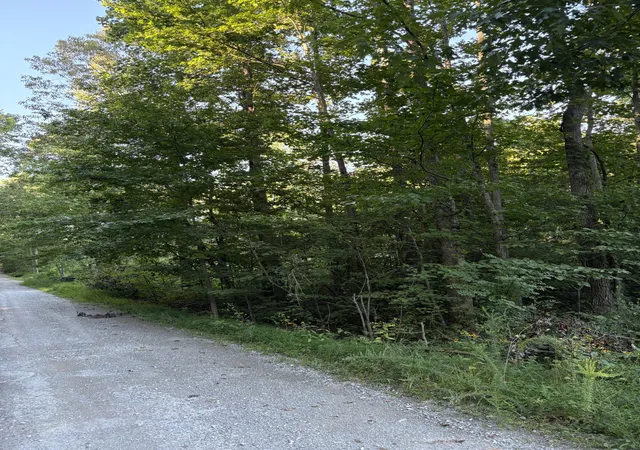 4th image of 0 Shilow Rd, Beechgrove, TN 37018 | MLS# 3513339