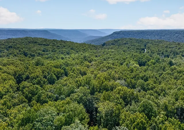52nd image of 2403 Sarvisberry Dr, Monteagle, TN 37356 | MLS# 3514147