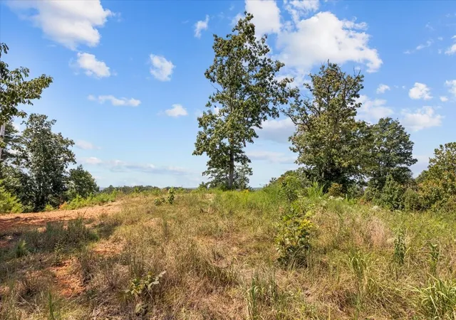 Photo 3 of Land for sale at 90 Float Dr, Waverly, TN 37185 | MLS# 3513350 | Listing updated on 2026-08-20