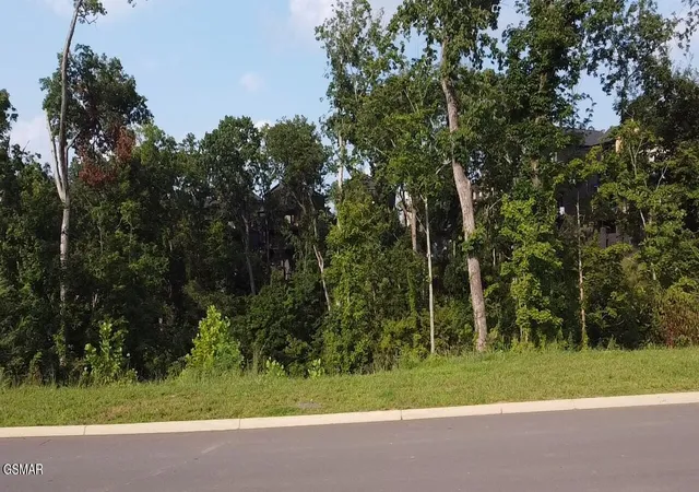4th image of 143 Reedmont Way, Sevierville, TN 37876 | MLS# 3513328