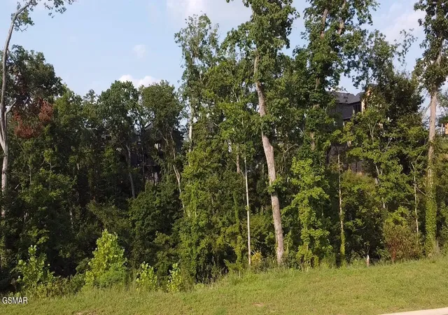 5th image of 143 Reedmont Way, Sevierville, TN 37876 | MLS# 3513328