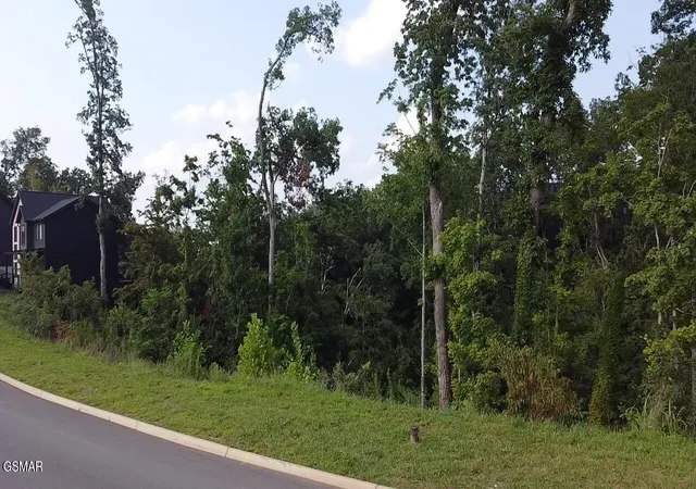 2nd image of 144 Reedmont Way, Sevierville, TN 37876 | MLS# 3513327