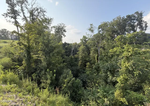 16th image of 145 Reedmont Way, Sevierville, TN 37876 | MLS# 3513329