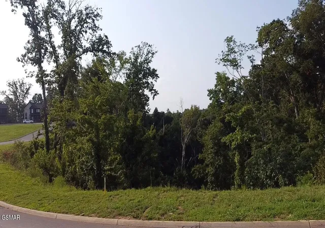 2nd image of 145 Reedmont Way, Sevierville, TN 37876 | MLS# 3513329