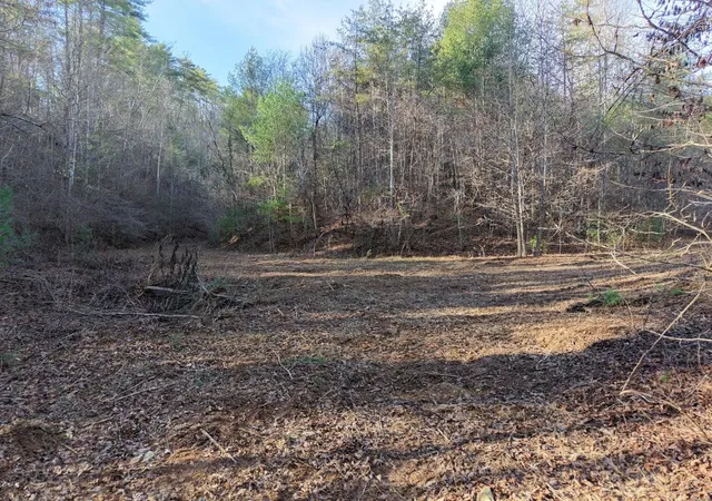 1st image of 0 Bakers Creek Road, Ocoee, TN 37361 | MLS# 3513344