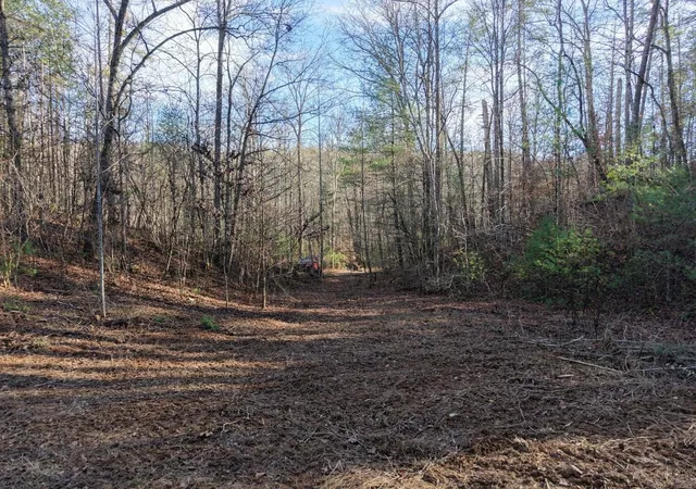 2nd image of 0 Bakers Creek Road, Ocoee, TN 37361 | MLS# 3513344