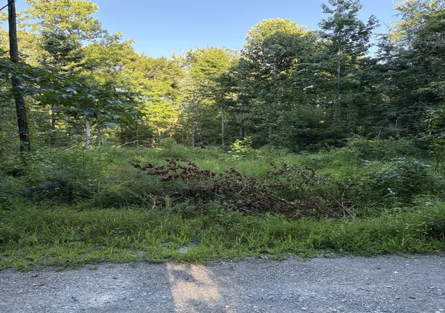 2nd image of 0 Shiloh Rd, Beechgrove, TN 37018 | MLS# 3513358