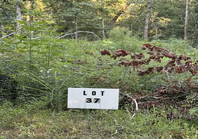 4th image of 0 Shiloh Rd, Beechgrove, TN 37018 | MLS# 3513358