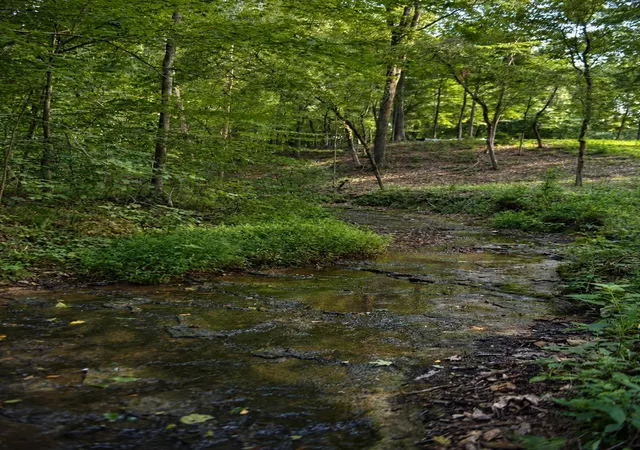 1st image of 7368 Overbey Rd, Fairview, TN 37062 | MLS# 3513403
