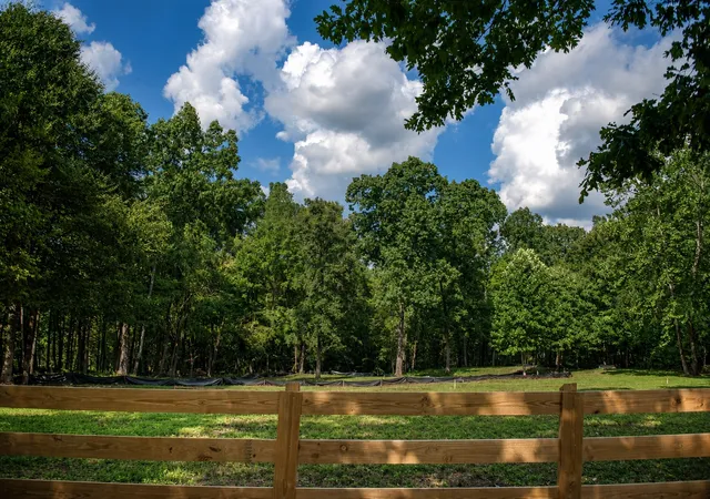 Photo 4 of Land for sale at 7368 Overbey Rd, Fairview, TN 37062 | MLS# 3513403 | Listing updated on 2026-08-20
