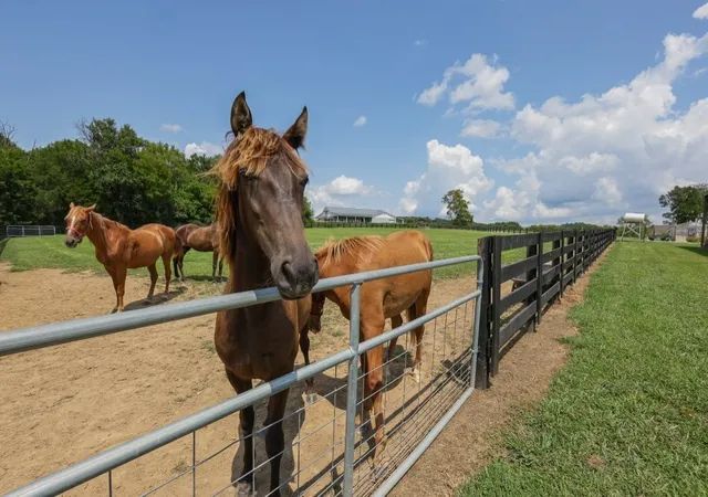 4th image of 121 Wartrace Creek Rd, Wartrace, TN 37183 | MLS# 3514060