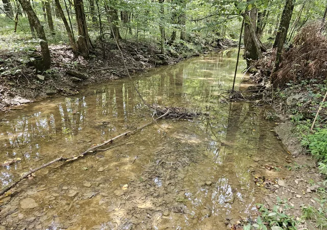 1st image of 0 Whitfield Hollow Road, Readyville, TN 37149 | MLS# 3518788