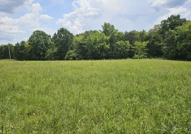 3rd image of 0 Whitfield Hollow Road, Readyville, TN 37149 | MLS# 3518788