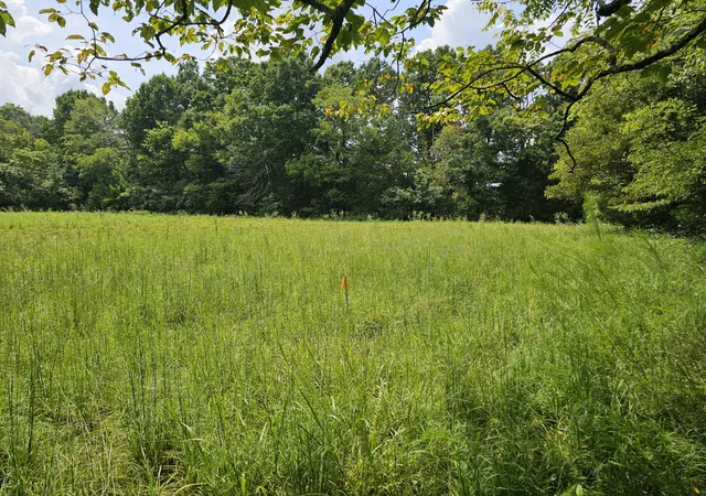4th image of 0 Whitfield Hollow Road, Readyville, TN 37149 | MLS# 3518788
