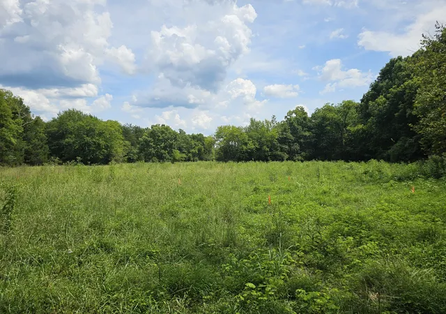 5th image of 0 Whitfield Hollow Road, Readyville, TN 37149 | MLS# 3518788