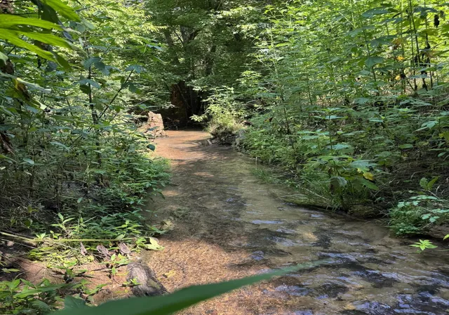 32nd image of 160 County Road 968, Delano, TN 37325 | MLS# 3513386