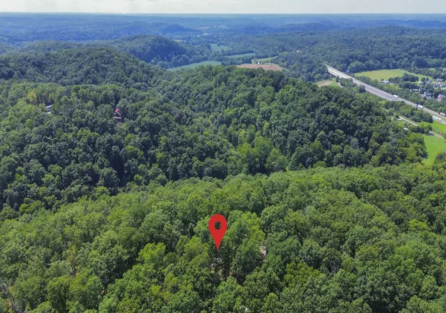 3rd image of 399 Turkey Rdg, Pegram, TN 37143 | MLS# 3513471
