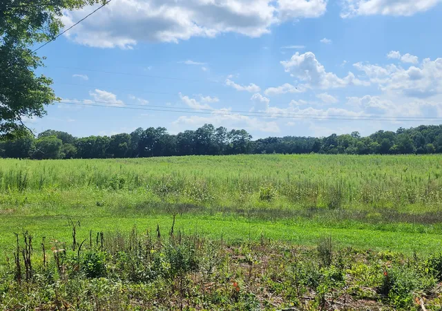 4th image of 0 Tunnel Hill Road Sw Sw, Cleveland, TN 37311 | MLS# 3515300
