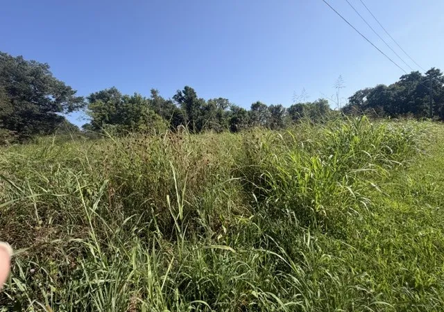 1st image of 7 Issac Clifton Rd, Chapmansboro, TN 37035 | MLS# 3513412