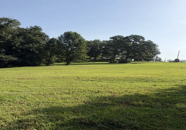 3rd image of 0 Buddy Rd, Burns, TN 37029 | MLS# 3513473