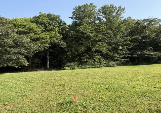 4th image of 0 Buddy Rd, Burns, TN 37029 | MLS# 3513473