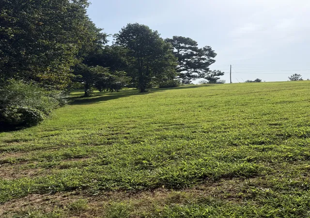 5th image of 0 Buddy Rd, Burns, TN 37029 | MLS# 3513473