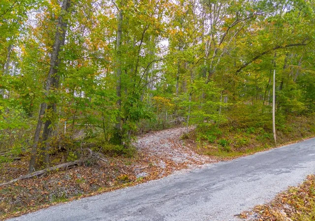 2nd image of 0 Ross Hollow Rd, Ashland City, TN 37015 | MLS# 3513575