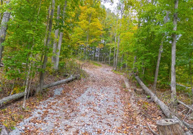3rd image of 0 Ross Hollow Rd, Ashland City, TN 37015 | MLS# 3513575