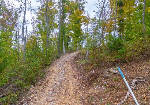 4th image of 0 Ross Hollow Rd, Ashland City, TN 37015 | MLS# 3513575