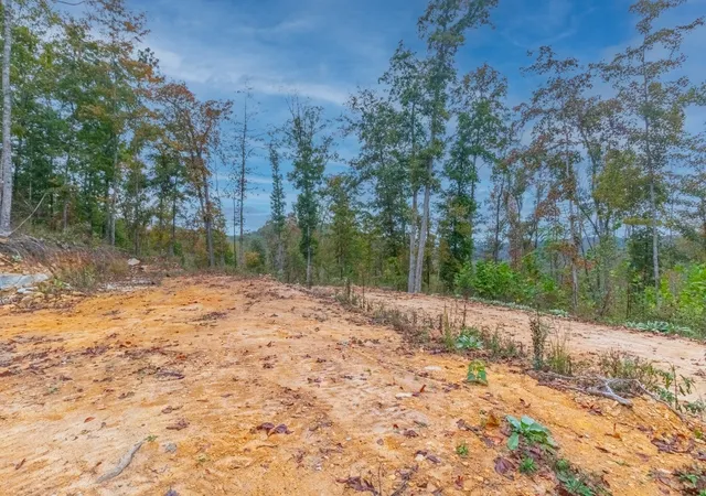 5th image of 0 Ross Hollow Rd, Ashland City, TN 37015 | MLS# 3513575