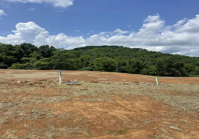 3rd image of 151 Berry Hunter Lane, Franklin, TN 37067 | MLS# 3520282