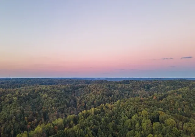 32nd image of 151 Berry Hunter Lane, Franklin, TN 37067 | MLS# 3520282