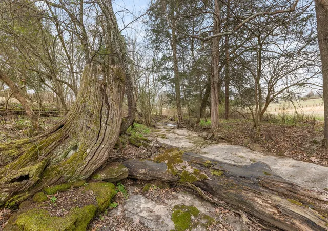 Photo 4 of Land for sale at 0 Cothran Rd, Columbia, TN 38401 | MLS# 3513612 | Listing updated on 2026-10-19