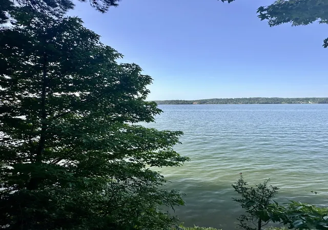 1st image of 0 Paradise Dr, Waterloo, AL 35677 | MLS# 3513693