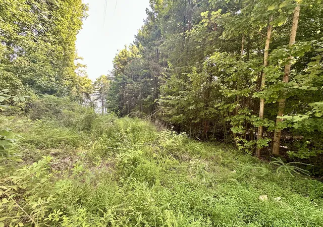 3rd image of 0 Paradise Dr, Waterloo, AL 35677 | MLS# 3513693