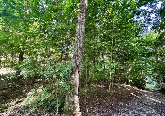 4th image of 0 Paradise Dr, Waterloo, AL 35677 | MLS# 3513693