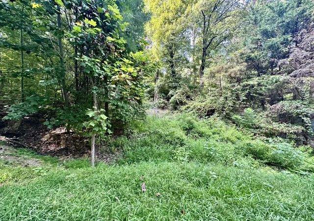 5th image of 0 Paradise Dr, Waterloo, AL 35677 | MLS# 3513693