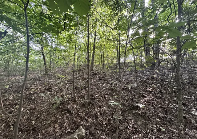 8th image of 0 Paradise Dr, Waterloo, AL 35677 | MLS# 3513693