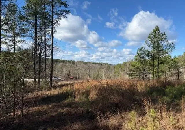 1st image of 0 Birds Eye Way, Guild, TN 37340 | MLS# 3513708