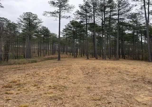 2nd image of 0 Birds Eye Way, Guild, TN 37340 | MLS# 3513708