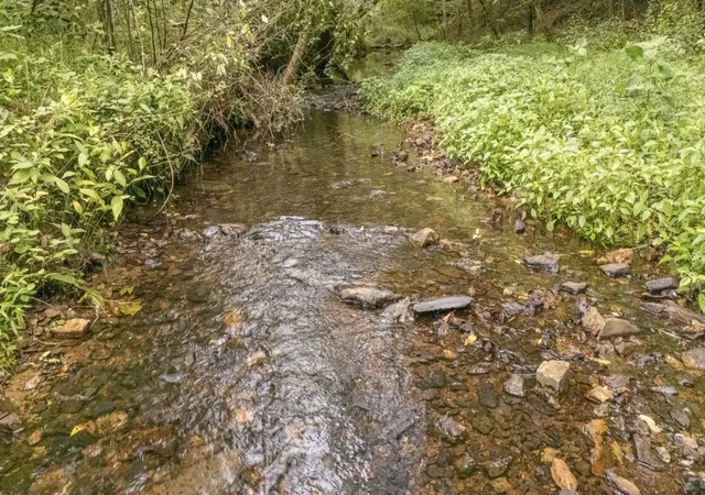 Photo 3 of Land for sale at 0 Weakley Crk Rd, Lawrenceburg, TN 38464 | MLS# 3515077 | Listing updated on 2026-08-23