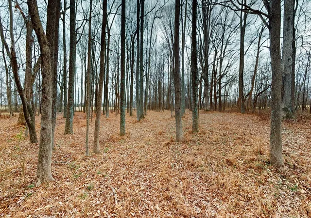 16th image of 3021 Hwy 25, Cottontown, TN 37048 | MLS# 3513850