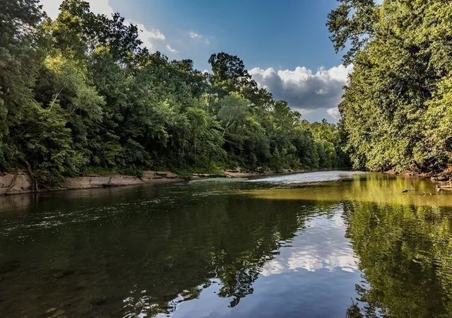 44th image of 3358 Tucker Trace, Columbia, TN 38401 | MLS# 3513823