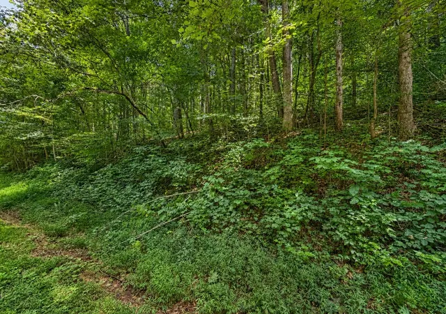 2nd image of 0 Johnson Valley Road, Philadelphia, TN 37846 | MLS# 3513862