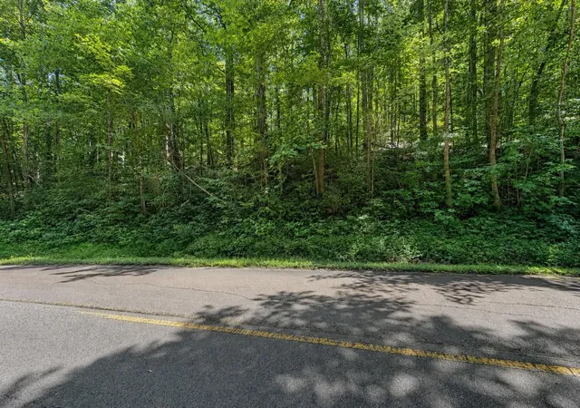 Photo 3 of Land for sale at 0 Johnson Valley Rd, Philadelphia, TN 37846 | MLS# 3513862 | Listing updated on 2026-08-20