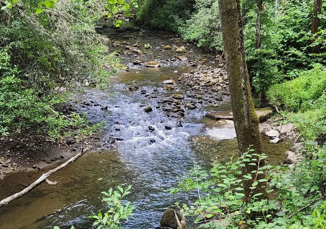 1st image of 0 Tumbling Creek Road, Copperhill, TN 37317 | MLS# 3513868