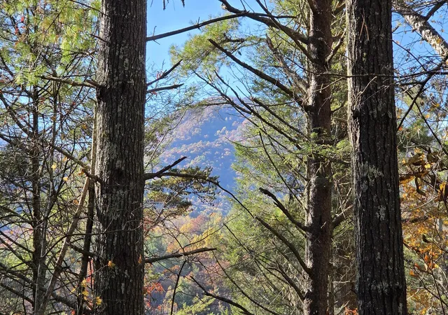 2nd image of 0 Tumbling Creek Road, Copperhill, TN 37317 | MLS# 3513868