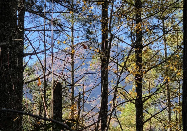4th image of 0 Tumbling Creek Road, Copperhill, TN 37317 | MLS# 3513868