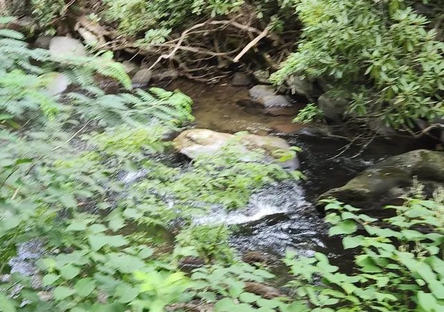 5th image of 0 Tumbling Creek Road, Copperhill, TN 37317 | MLS# 3513868